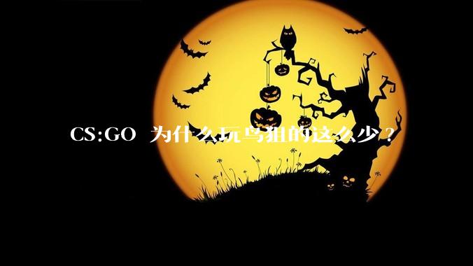 CS:GO 为什么玩鸟狙的这么少?