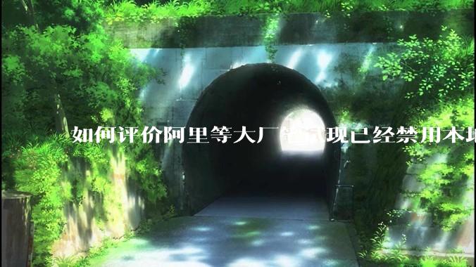 如何评价阿里等大厂笔试现已经禁用本地IDE？